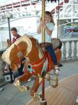 merry go round- alsatia_th.jpg 5.7K